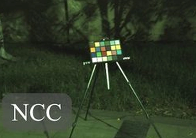 Raw input for qualitative scene 2