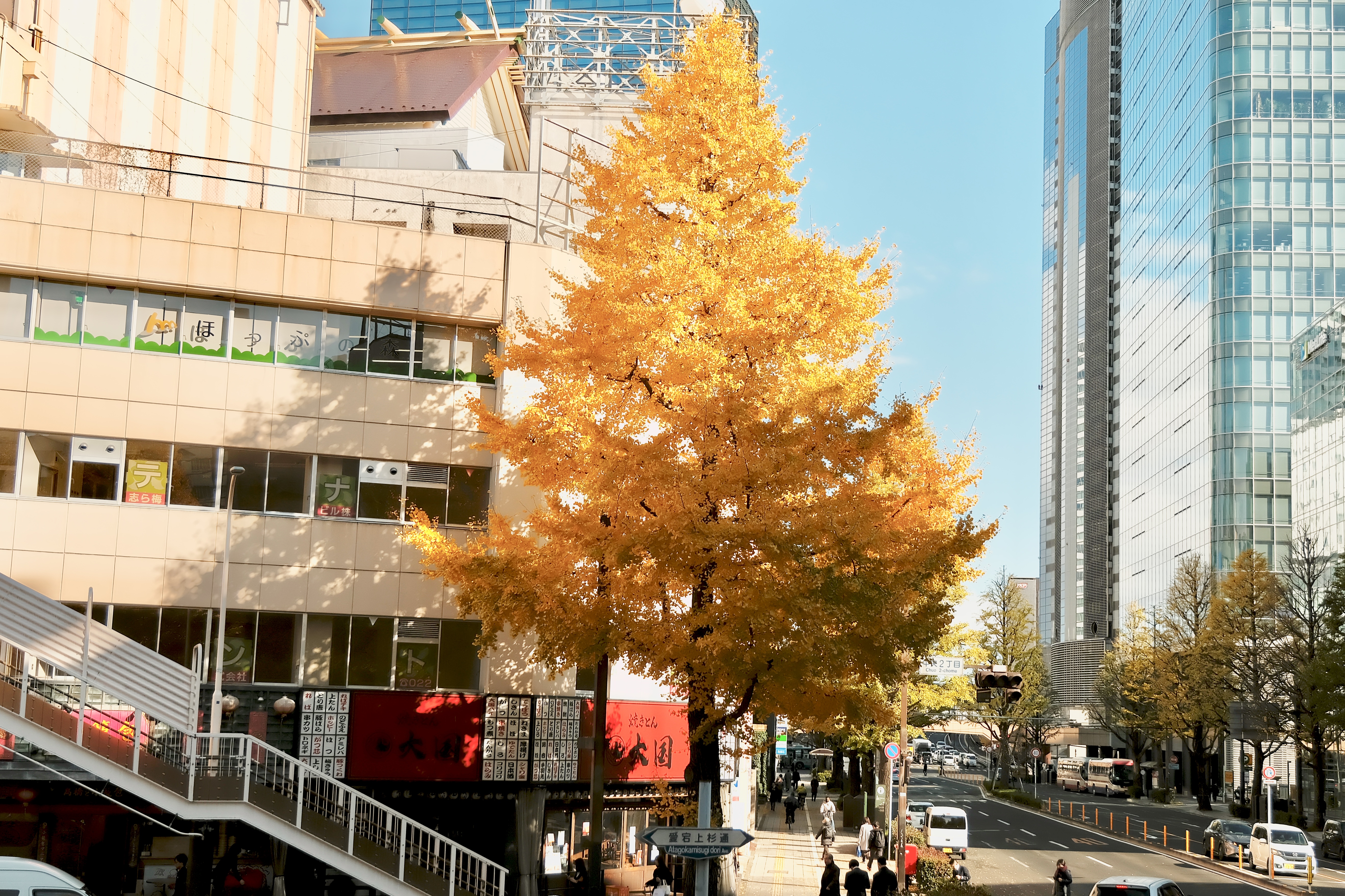 Sendai Atago-Uesugi Street, Sendai