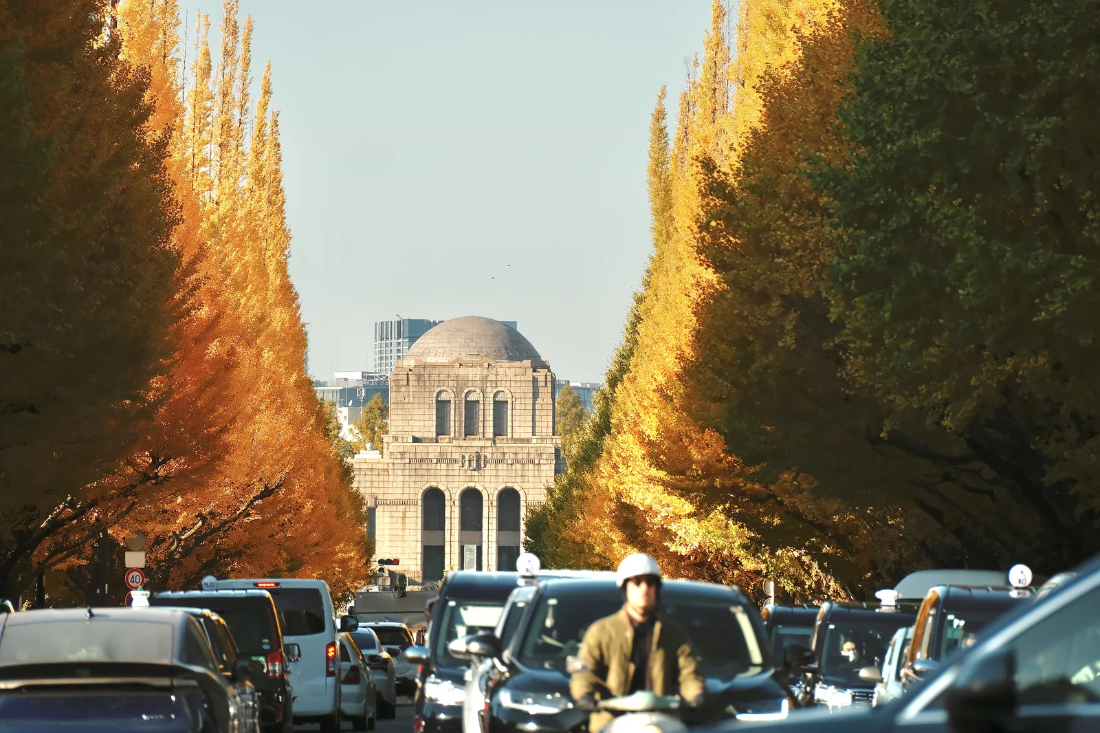 Meiji Jingu Gaien Ginkgo Avenue, Tokyo